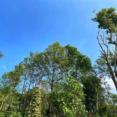 Sandev Homestay Madikeri Zewnętrze zdjęcie