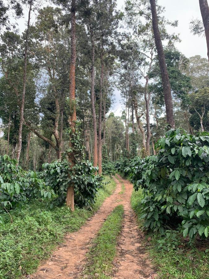 Sandev Homestay Madikeri Zewnętrze zdjęcie