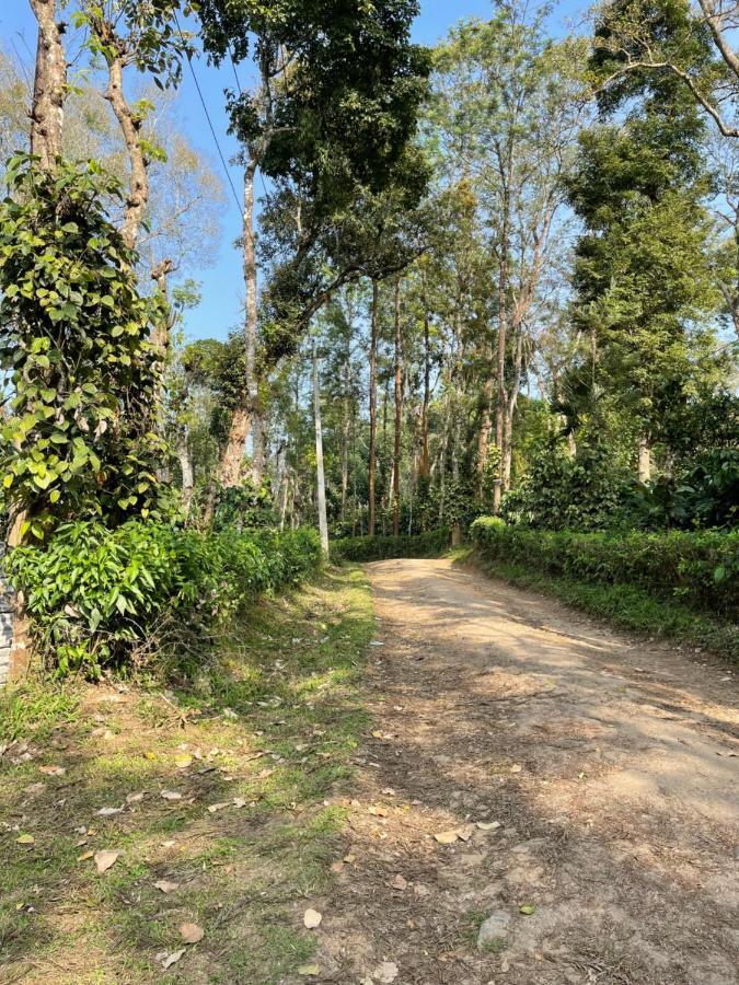 Sandev Homestay Madikeri Zewnętrze zdjęcie