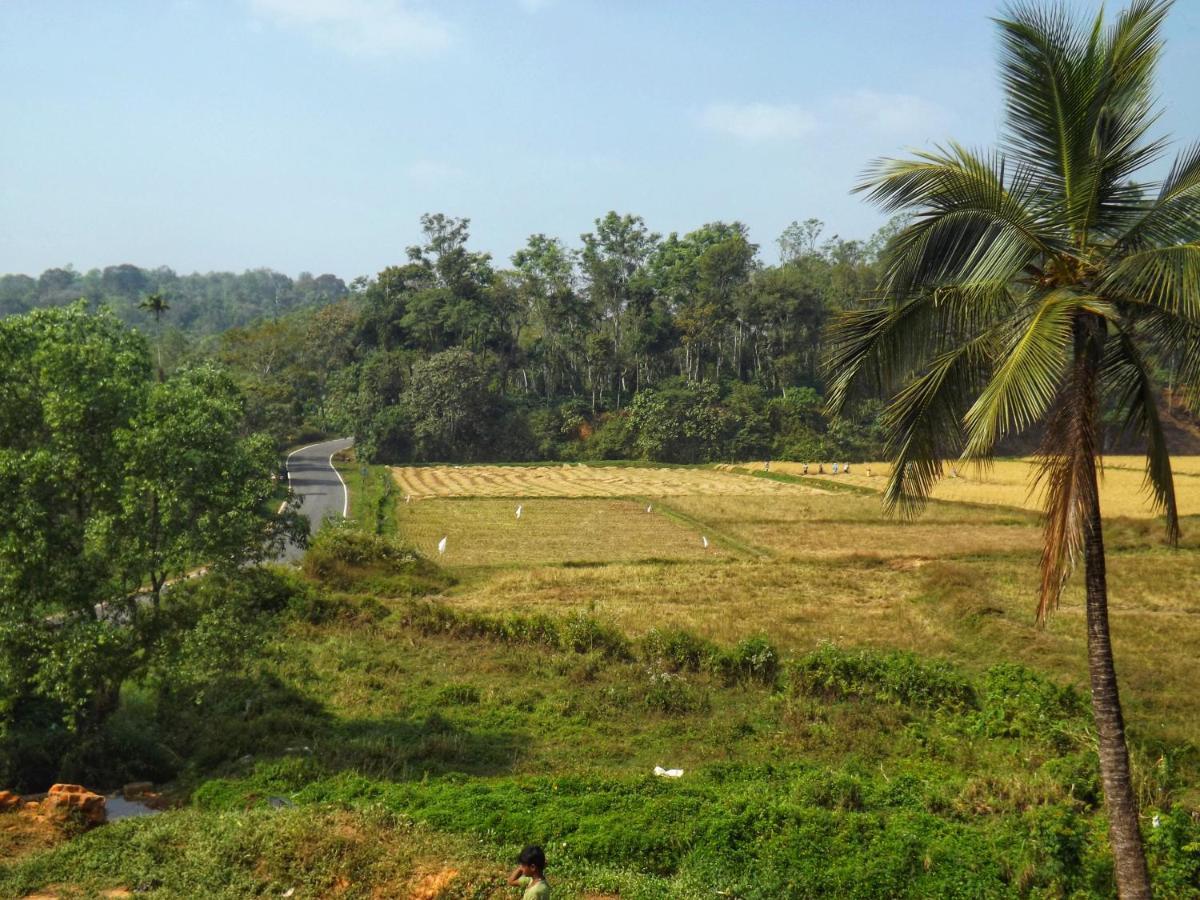 Sandev Homestay Madikeri Zewnętrze zdjęcie