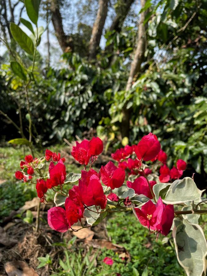 Sandev Homestay Madikeri Zewnętrze zdjęcie